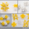 Froebel Star